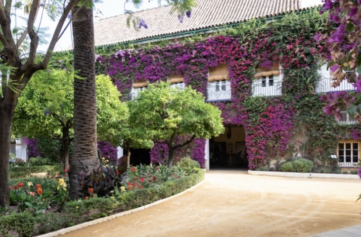 A building adorned with purple flowers with a garden and a walkway in front of it at Palacio de las Duenas.