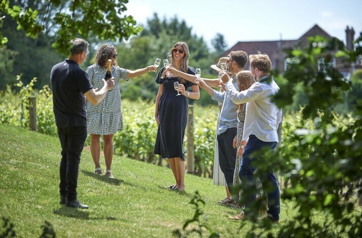 A group of guests enjoying wine in the vineyards during guided tour at Chapel Down winery in Kent, United Kingdom.