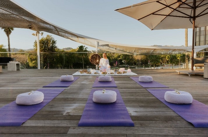 Yoga mats arranged for a yoga session.